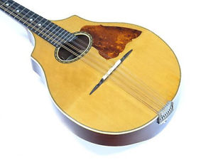 1919 VEGA Model 202<David Grisman Collection> Mandolin Free Shipping Vintage