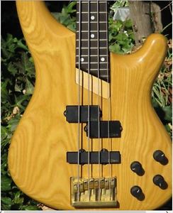 Electric Bass Gu
