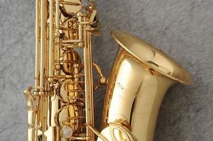 Yanagisawa A-900μ saxophone 0417