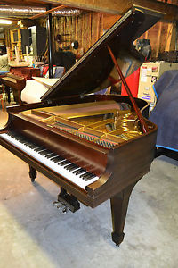 Steinway & Sons Flügel Modell M, 170 cm, Bj. 1912,ALLE ORIGINAL