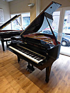 Royal Flügel, Länge 158 cm, Schwarz matt schwarz