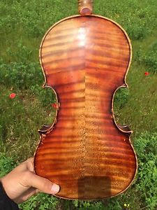Violin Violon Geige