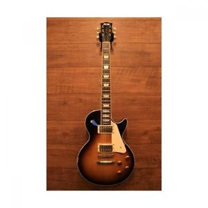 Fujigen NCLS-10R Neo Classic Sries Used Electric Guitar Best Price From Japan