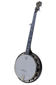 Deering Banjo Artisan Goodtime Special mit Gigbag
