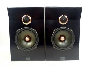 REQST DSW-T1 PRO Speaker Pair M2092703