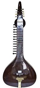 Dorpmarket Hansa Veena - Indian Slide Guitar with Fiber Case