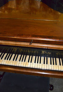 Peter Proskowetz Flügel Stutzflügel Salonflügel Klavier Pianoforte Studioflügel