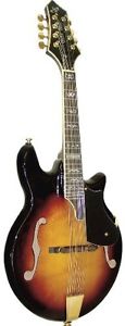 Gold Tone GM110 
