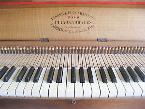 RareTrès ancien clavier étude mécanisme des doigts .