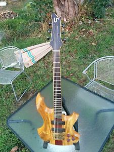 Epic custom 6 string hollow body electric guitar