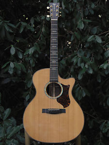 Martin GPCPA-1 Plus Aura /W Orig. HSC
