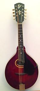 Gibson A4 Mandol