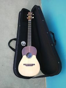 Venezuelan Electro Acoustic Concert Cuatro