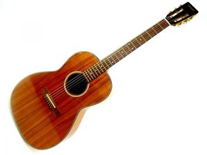 Takamine Ptu408k