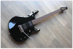 RARE LIMITED EDITION ANNIVERSARY Ernie Ball Music Man John Petrucci 6 piezo case