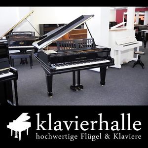 Restaurierter August Förster Flügel, 165cm, schwarz poliert - Top-Zustand