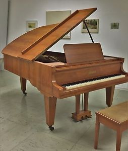Blüthner Flügel 210 cm ca. 1910 aufgearbeitet, grand piano revised