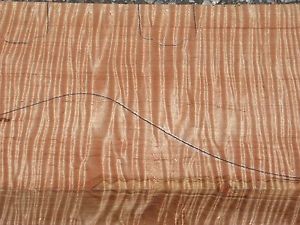 Vintage 5A RIBBON FLAME MAPLE LP GUITAR BILLET "Beauty of the Burst*" /059