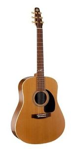 Seagull Artist Mosaic Acoustic Guitar