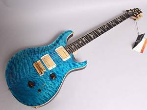 Free Shipping Paul Reed Smith Artistpackage Custom24 Rtqfeg9 Cc Electric Guitar