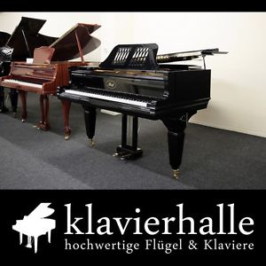 Restauriertes Schmuckstück ★ Ibach Flügel, 180cm, Modell II ★ vom Fachhändler