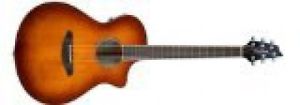 Breedlove 2014 S