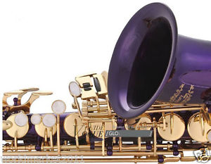 #9 Profession Musical Instruments Brass Hand Polished Compact Alto Saxophone