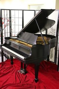 Steinway M Piano Satin Ebony 5'7" 1925 "Golden Age" Refin/Restored SONNY'S VIDEO