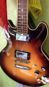 Gibson es 339 Tradional Pro