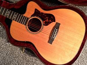 Free Shipping Used Martin Omcpa1 Acoustic Guitar