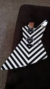 Charvel Dimarzio USA San Dimas Explorer Guitar Body Only Graphic RARE