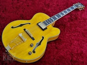 Ibanez PM2 AA Pat Metheny Model w/hard case F/S Guiter From JAPAN #S126