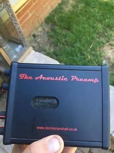 Ultra rare Dennis Marshall acoustic pre