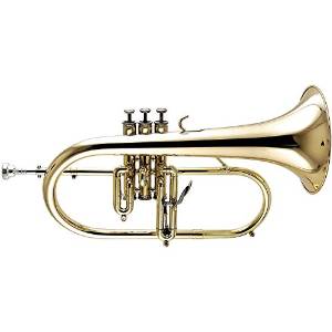 Getzen 3895 Custom Series Bb Flugelhorn, Lacquer Gold Bell