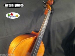 Baroque Style SONG Brand Maestro install Frets 4 strings 27" viola da gamba