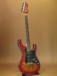 Free Shipping Freedom Custom Guitar Research Hydra 2-point 24fret Guitar