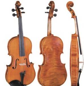 High Grade Viola