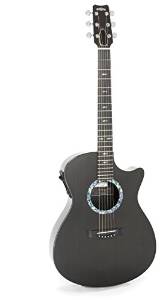 RainSong Guitars Concert Series CO-OM1000N2 Acoustic-Electric Guitar, Clear Carbon
