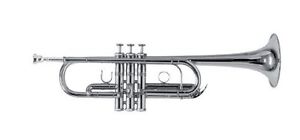 Roy Benson RBTR402C Bb/C Professional Trumpet