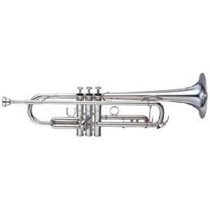 Yamaha YTR 8335LAS Professional Custom Z Bb Trumpet ;All Brass Valve