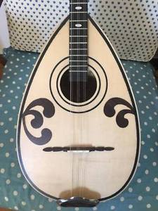 bouzouki 6string with hardcase
