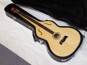 GOLD TONE Dulciborn electric Weissenborn DULCIMER w/ HARD CASE - B-stock