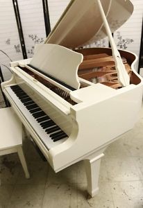 Baby Grand Piano With IQ Piano Bisc Player --Young Chang  "Pramberger Signature"