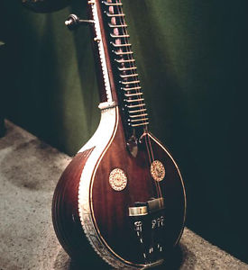 ULTRA-PRO SARASWATI VEENA IN DULL JACKWOOD DARK WALNUT FINISH + ACCESSORIES