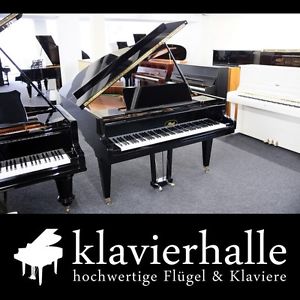 Klangvoller Ibach Flügel, F-II, 183cm, Bj.1970 aus Erstbesitz ★ vom Fachhändler