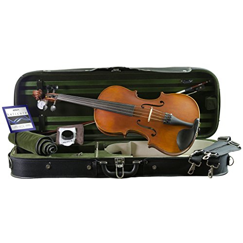 Kennedy Violins Louis Carpini Viola Outfit 14-inch Size