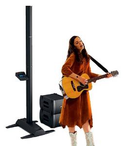 Bose L1 Model II System Double Bass Package.