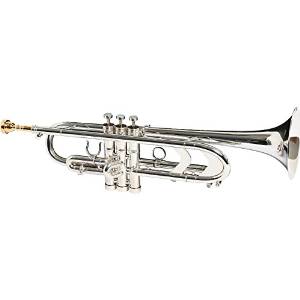 Getzen 3003 Genesis Custom Series Bb Trumpet 3003S Silver (3003S Silver)
