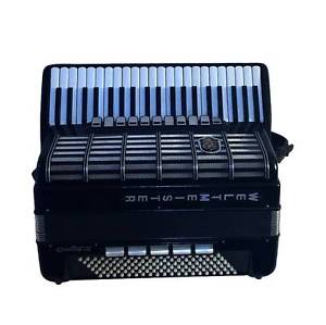 Top German Pro Accordion Weltmeister Cantus IV 120Bass,16sw.Cassotto Fisarmonica