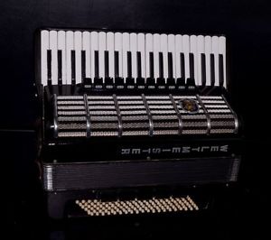 PRO TOP ACCORDION WELTMEISTER CANTUS-UPGRADE WITH BETTER ITALIAN REEDS~CASSOTTO~